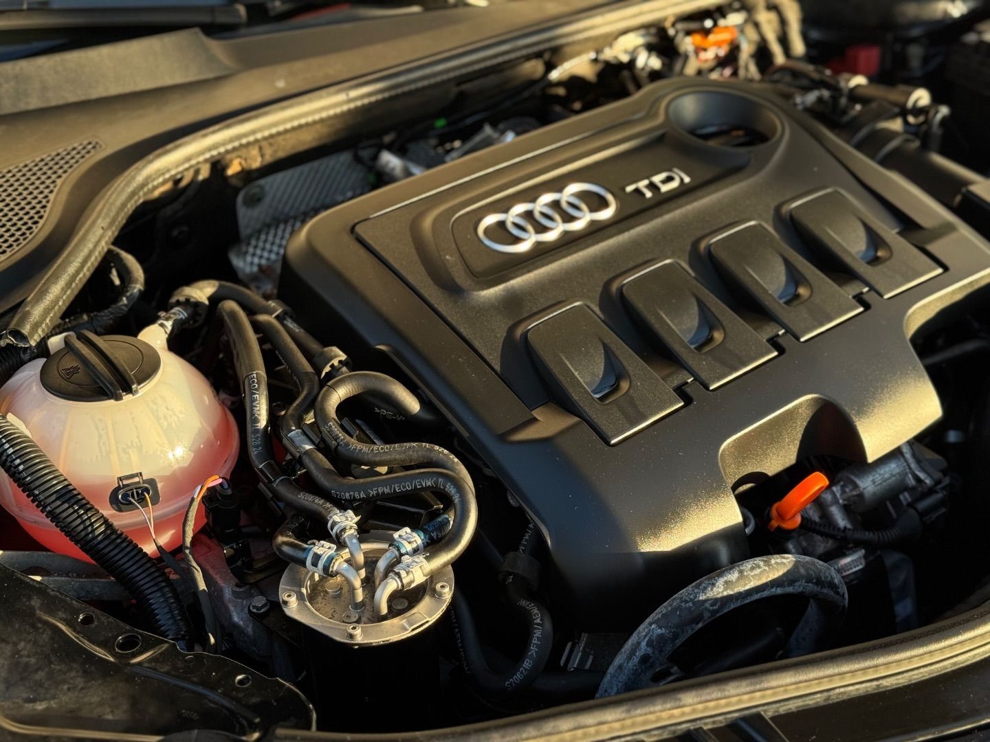AUDI TT Roadster 2.0 TDI 170cv quattro